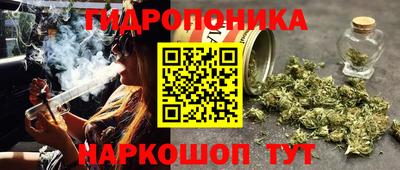 a pvp Кунгур