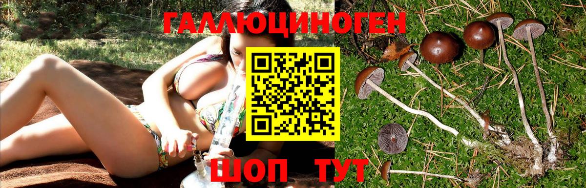 Галлюциногенные грибы прущие грибы  Нурлат 