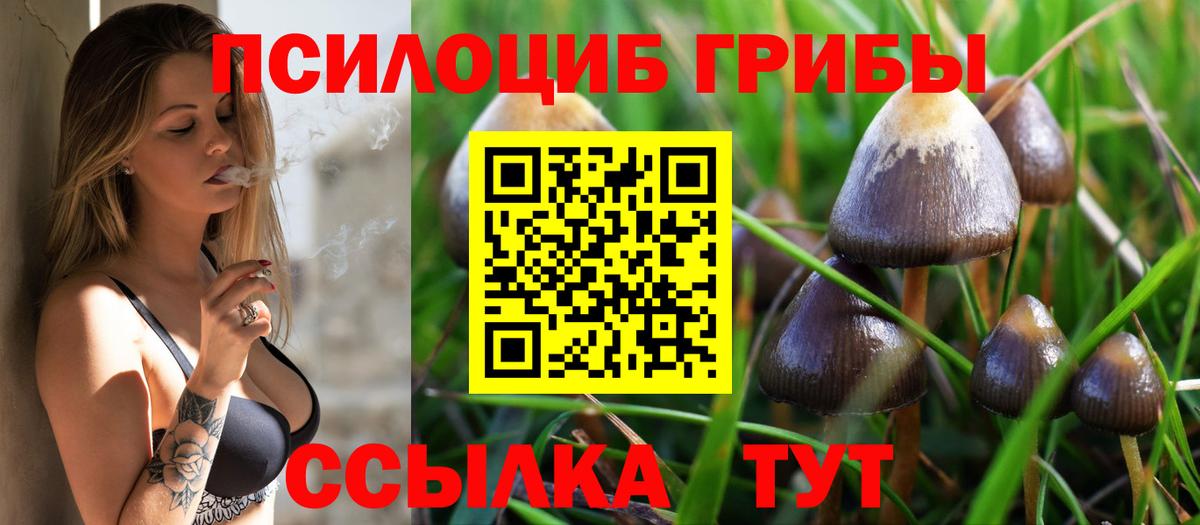 Псилоцибиновые грибы ЛСД Нурлат