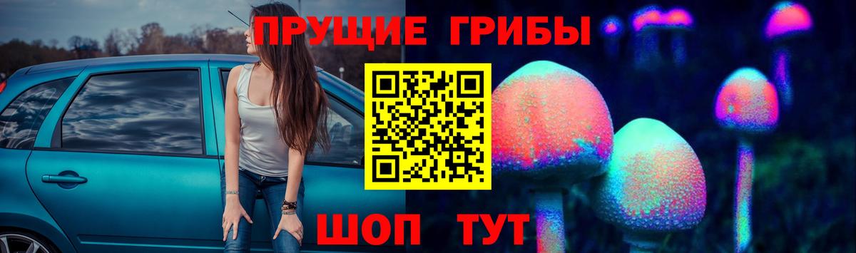 сколько стоит  Вход с VPN  Нурлат  Галлюциногенные грибы MAGIC MUSHROOMS 